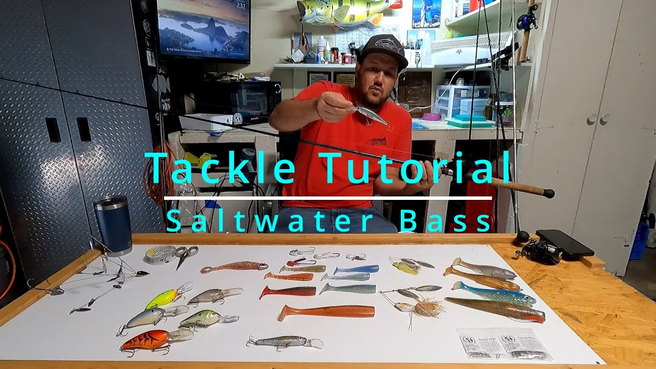 Saltwater Bass Tackle TutorialWhat I Bring to Target Calicos