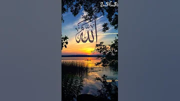 محمد طارق توكلت في رزقي على الله انشودة محمد طارق Explore Like Comment Subscribe Shorts 