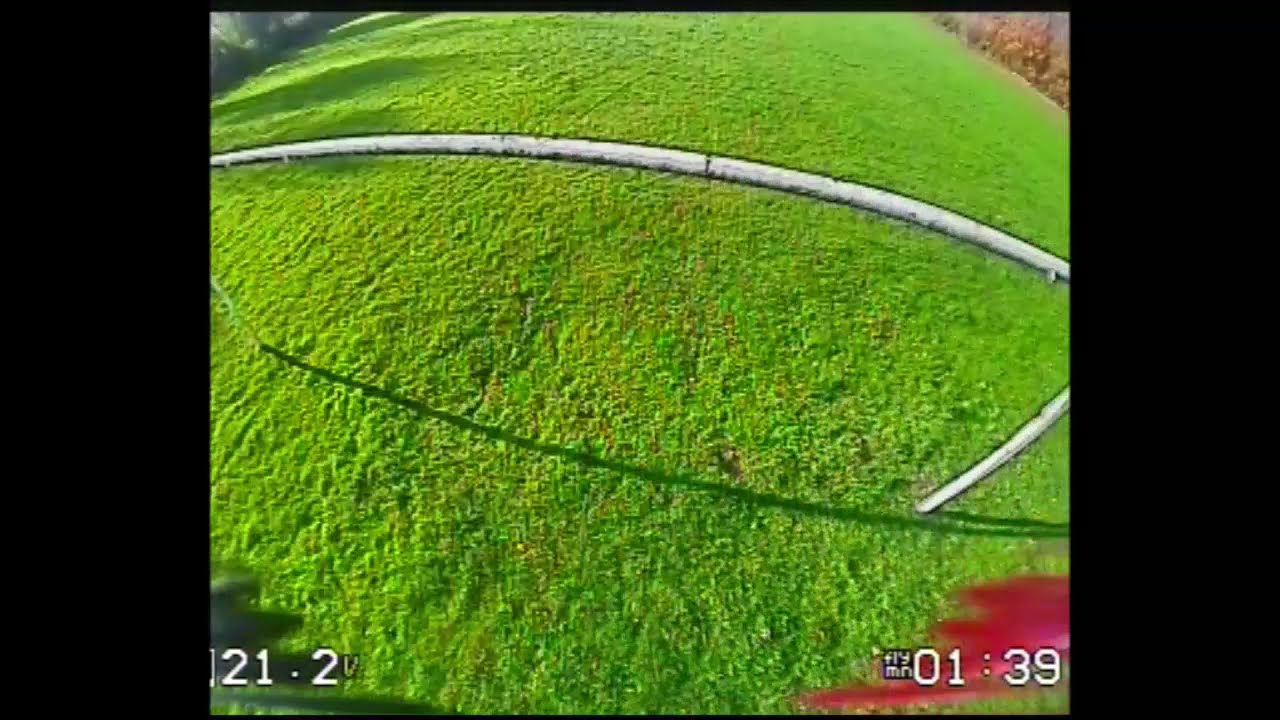 quick fly in the old stomping ground