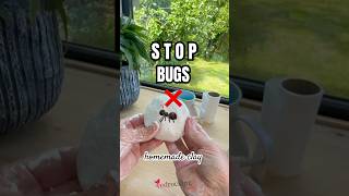 How to Help Keep Bugs Away from Homemade Paper Clay | Easy DIY