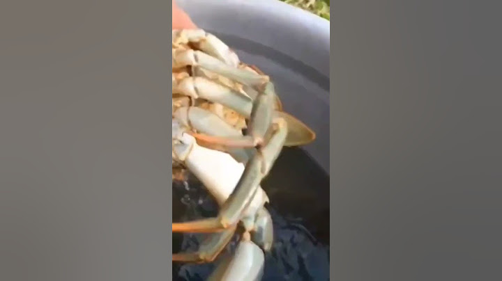 Giant Infused Crab Barbecue | ഞണ്ടിനെ കുത്തിവച്ചു ചുട്ടത് | M4 Tech | #shorts