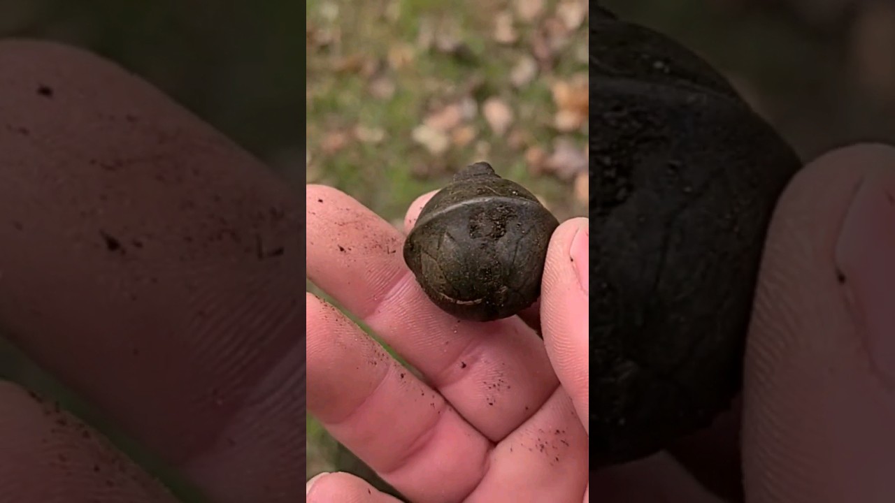 Metal detecting michigan. I found a old bell. 