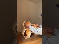 トイレDIY完成!!#DIY#リフォーム#リノベーション#空き家リノベーション