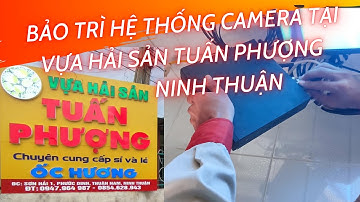 Bảo trì hệ thống camera tại vựa hải sản ốc hương Tuấn Phượng|Cơ sở kinh doanh ốc số 1 tại Ninh Thuận