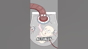 Artificial Womb Technology: Already a Reality?#animation #funny #shorts