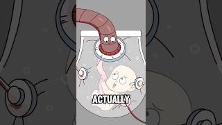 Artificial Womb Technology Already A Reality?