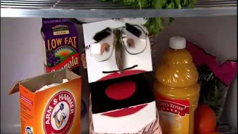 lunchbox chronicles