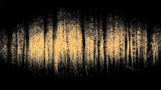 Watch Lisa Gerrard Black Forest video