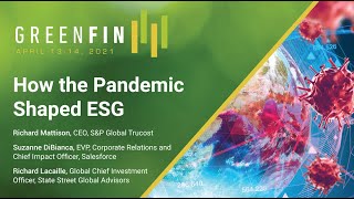 How the COVID-19 pandemic shaped ESG