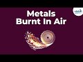 Chemical Properties of Metals and Their Reactivity in Different Environments