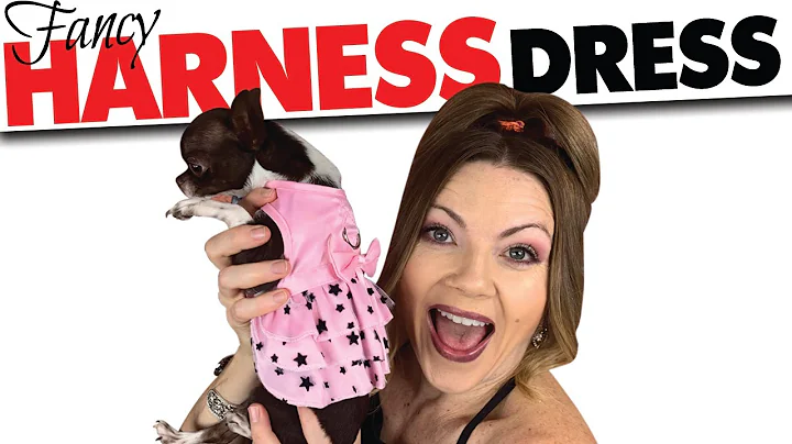 Margo the tiniest Chihuahua dog harness dress revi...