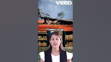 Exploring the World of Mpox  Everything You Need to Know!