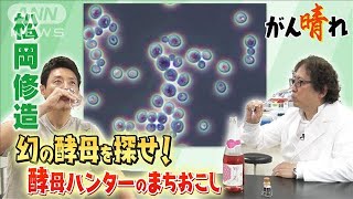 【松岡修造のみんながん晴れ】知ると飲みたくなる！学者が作るワイン(2023年5月28日)