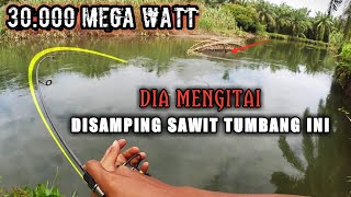 Mancing Hampala Pakai Teknik Casting || JORAN KABEL LISTRIK - KABEL SUTET