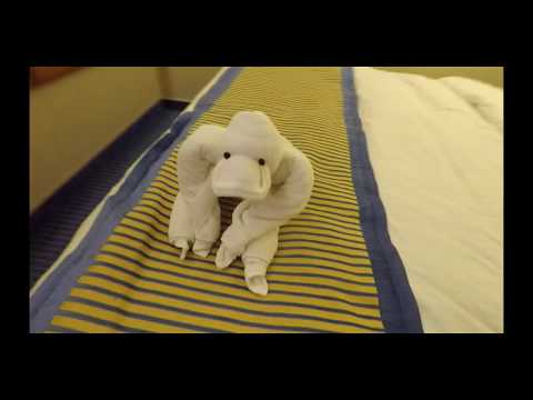 Carnival Sunshine Interior Cabin Tour Cruise Ship