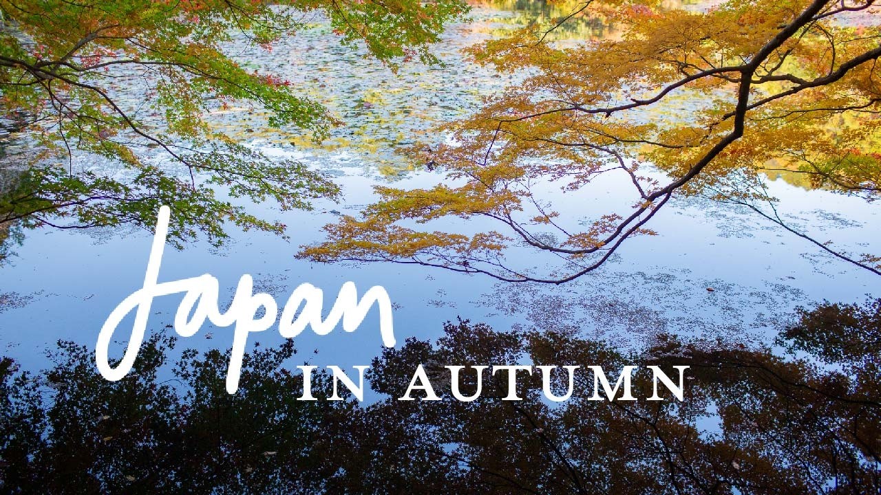 When And Where To See Peak Autumn Colours in Japan: A Cinematic Journey of Colourful Leaves