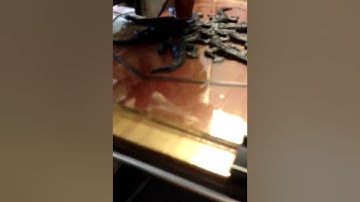 First printrbot print