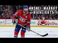 Andrei markov  career highlights