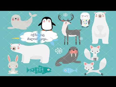 მოგზაურობა ცხოველთა სამყაროში