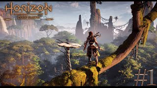 Horizon Zero Dawn #1-Начало: первый запуск