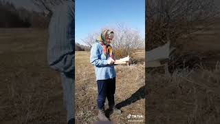 Бальзам для Поджелудочной Железы. Пьем Чай из Листьев Шелковицы от Сахарного Диабета #22