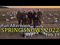 Feb 19 Snow Goose Report - A fun Afternoon Shoot
