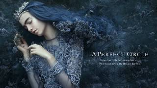 Emotional Music - A Perfect Circle