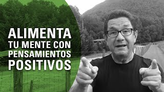 Notas Breves - Alimenta tu mente con pensamientos POSITIVOS