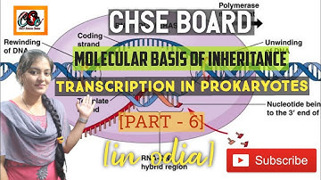 [PART-6]TRANSCRIPTION IN PROKARYOTES| MOLECULAR BASIS OF INHERITANCE|CHSE BOARD |12th BIOLOGY,(ODIA)