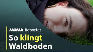 So Klingt Waldboden Ard Morgenmagazin