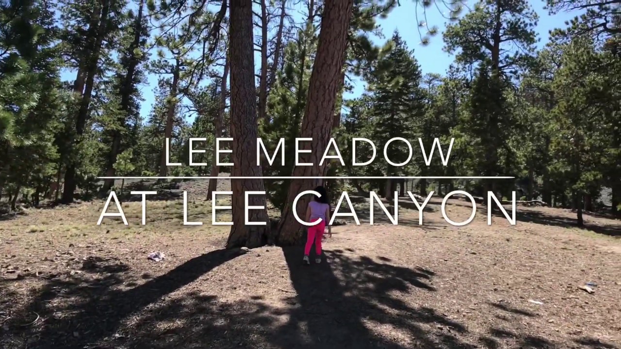 Lee Canyon, Lee Meadow. Just an hour drive from Las Vegas.