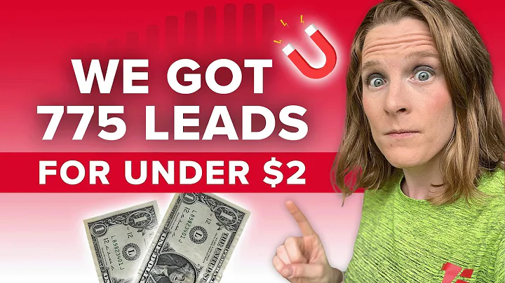 The powerful way we got 775 leads for under $2 in ...