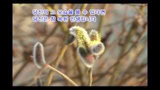 영상 미리보기