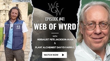 Web of Wyrd #41 - Full Moon, Monkey Business, Censorship & Rose Power - Intro with Davyd & Pete