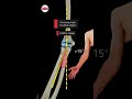 The Carrying Angle #anatomy #3danimation