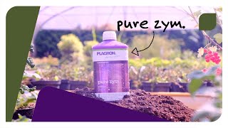 How to use Plagron Pure Zym