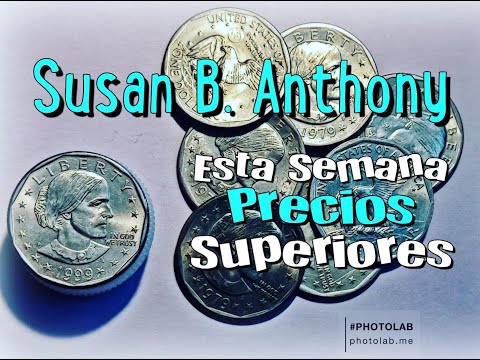 Video: Was Susan B Anthony een leider?