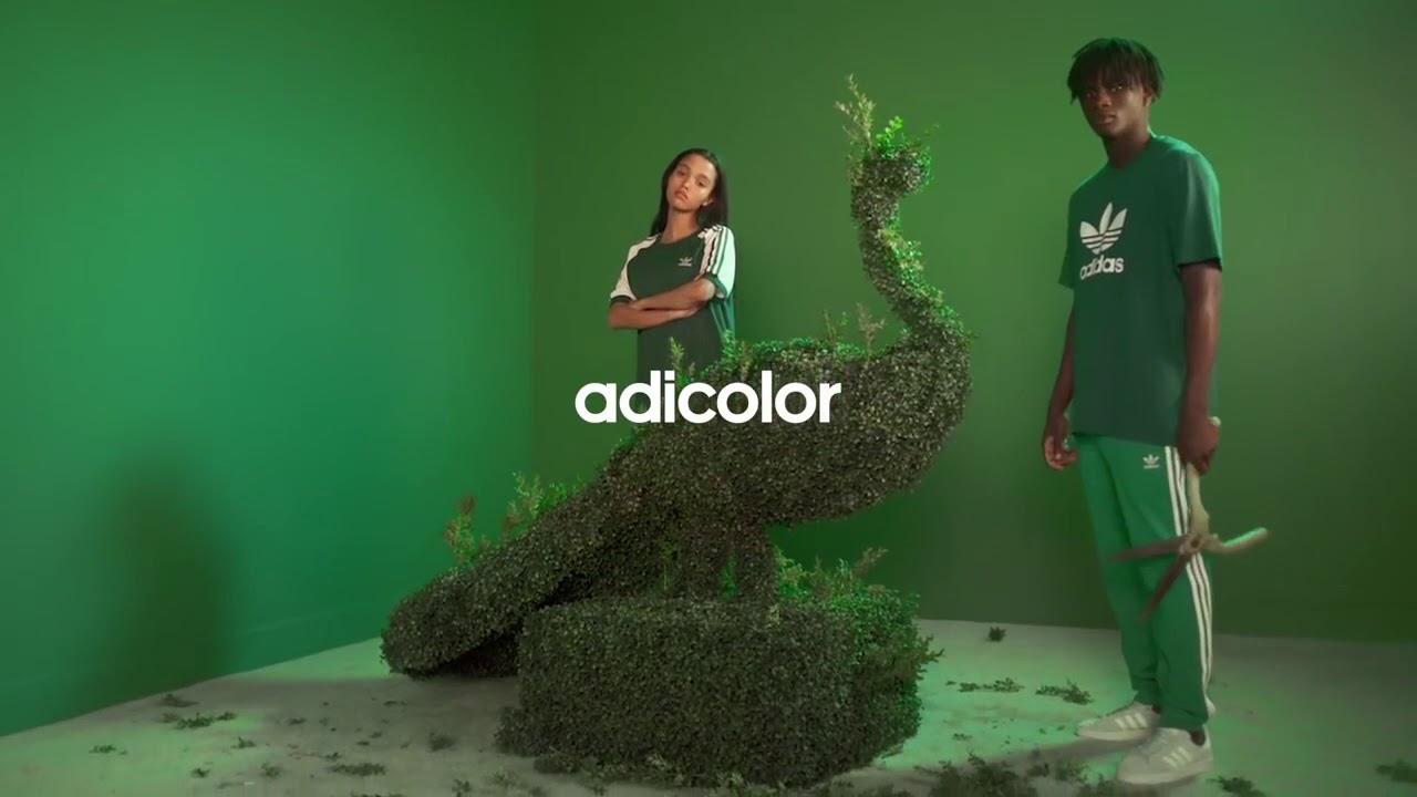 adicolor - Green | adidas Originals 