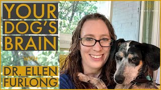 Dog Minds Decoded with Ellen Furlong