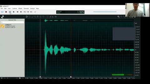 A brief look at Ocenaudio