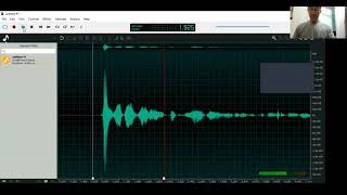 A brief look at Ocenaudio
