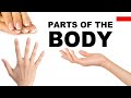 Angielskie słówka w obrazkach - Części ciała 3 (Parts of the body)