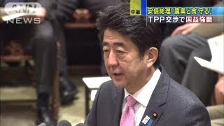 安倍総理がTPP交渉参加臨む決意　国会集中審議（13/03/18）