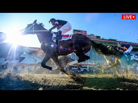 Vídeo: Preakness Stakes: Guia de viagem para a Segunda Corrida da Tríplice Coroa