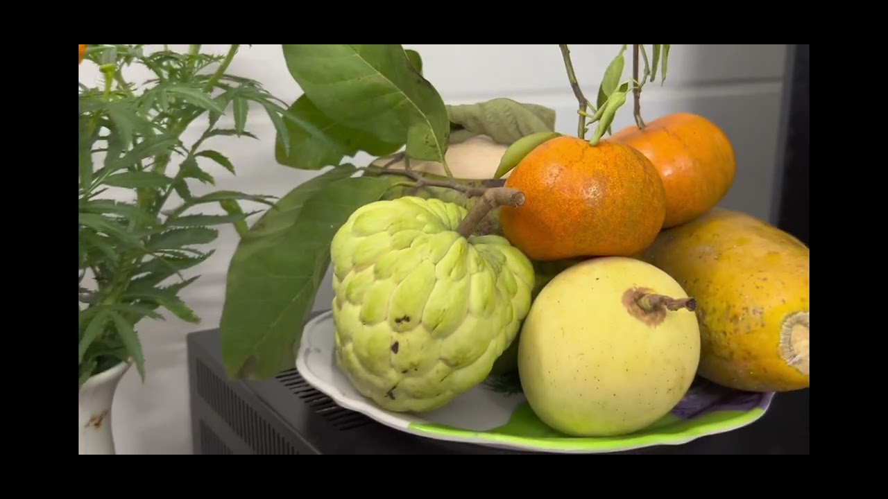 29 rước Ông Bà về ăn tết,Tết đã đến nhà 🌺