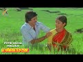 Pothi vacha malliga mottu song  mann vasanai  pandiyan  revathi  bharathiraja  ilaiyaraja