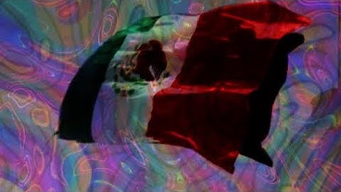 Techxican (Original Mix) | Visualizer 