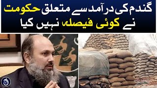 The government has not taken any decision regarding the import of wheat: Jam Kamal - Aaj News