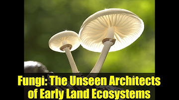 Fungi: The Unseen Architects of Early Land Ecosystems