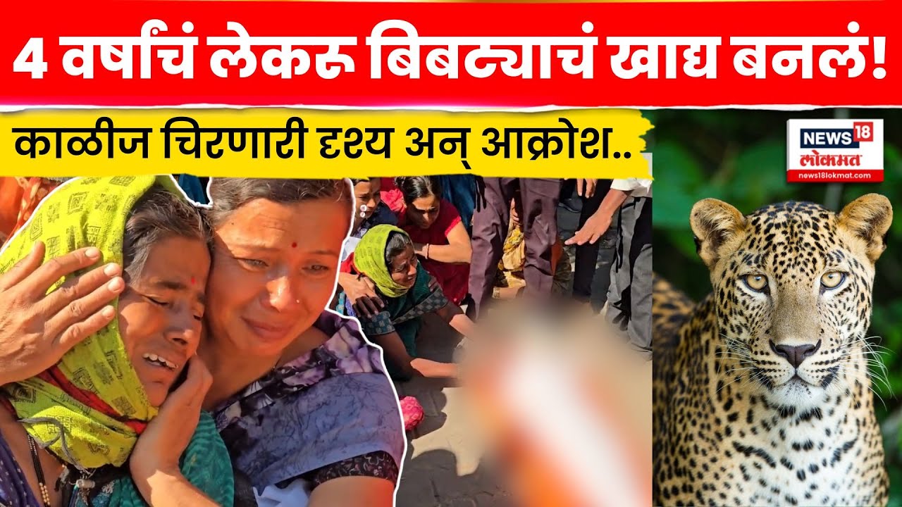 Junnar Bibtya News |  नरभक्षक बिबट्याकडून 4 वर्षांच्या लेकराची शिकार! काळीज  चिरणारी दृश्य | N18V